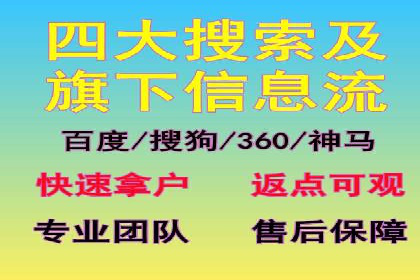 行业领先企业的SEM推广代运营实战经验